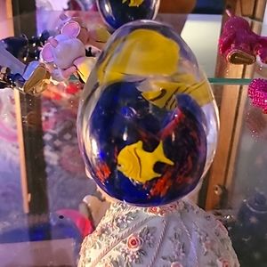 Glass see through egg of fish in the sea.